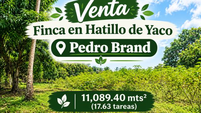 Finca - 100553